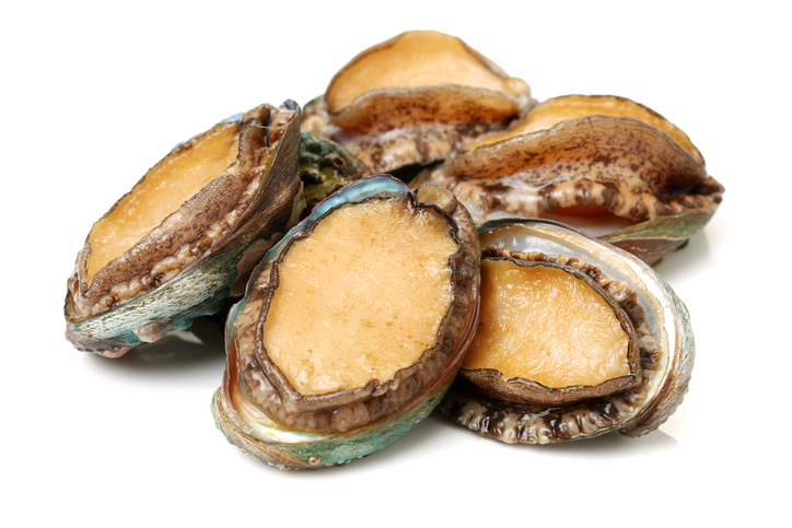 abalone 